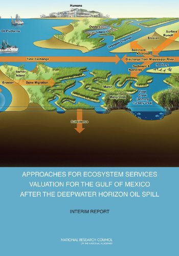 Approaches for Ecosystem Services Valuation for the Gulf of Mexico After the Deepwater Horizon Oil Spill: Interim Report