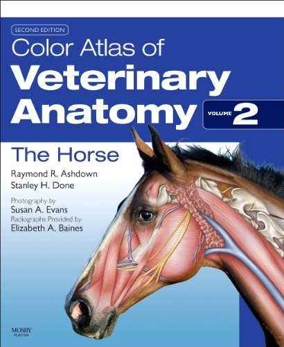 Color Atlas of Veterinary Anatomy, Volume 2, The Horse, 2e