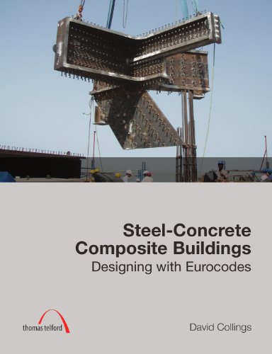 Steel-Concrete Composite Buildings