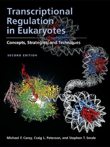 Transcriptional Regulation in Eukaryotes: Concepts, Strategies, and Techniqes: Concepts, Strategies and Techniques (Manual)