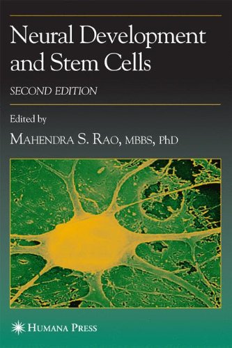 Neural Development and Stem Cells Second Edition (Contemporary Neuroscience)