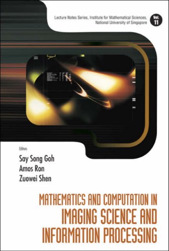 MATHEMATICS AND COMPUTATION IN IMAGING SCIENCE AND INFORMATION PROCESSING: 11 (Lecture Notes Series, Institute for Mathematical Sciences)