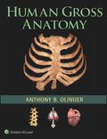 Human Gross Anatomy