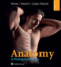 Anatomy