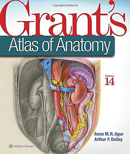 Grant