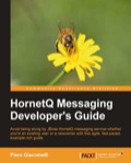 HornetQ Messaging Developer