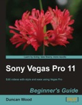 Sony Vegas Pro 11 Beginner