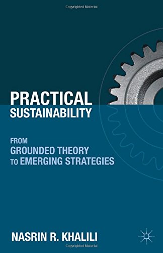 Practical Sustainability: From Grounded Theory to Emerging Strategies