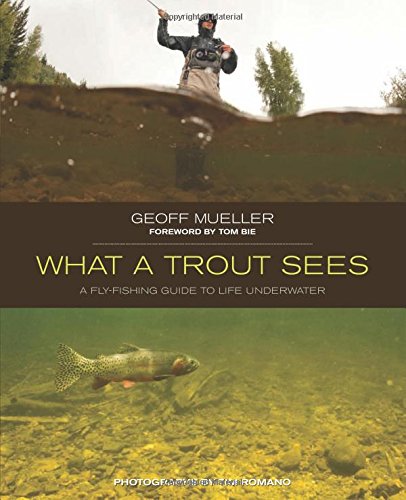 What a Trout Sees: A Fly-Fishing Guide to Life Underwater