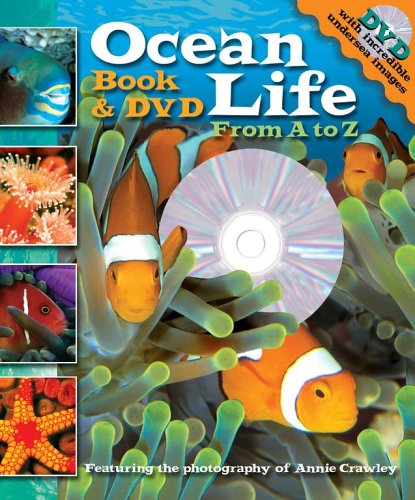 Ocean Life: From A to Z [With DVD]
