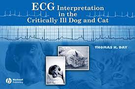ECG Interpretation in the Critically Ill Dog and Cat