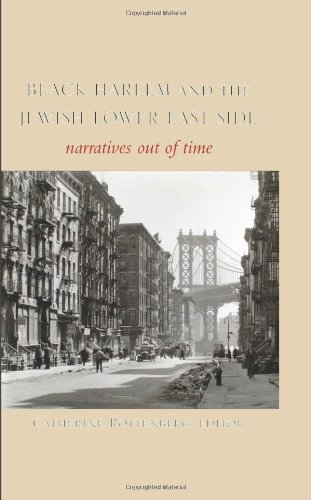 Black Harlem and the Jewish Lower East Side (SUNY Series in Multiethnic Literature)