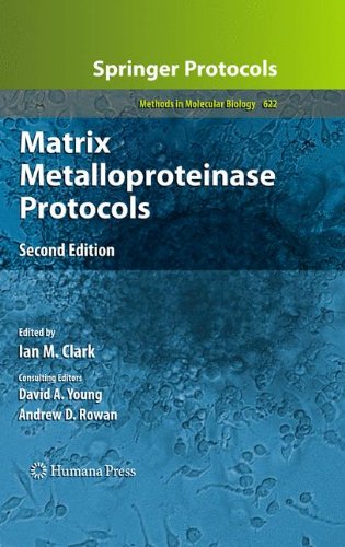 Matrix Metalloproteinase Protocols: 622 (Methods in Molecular Biology)