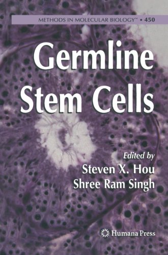 Germline Stem Cells (Methods in Molecular Biology)