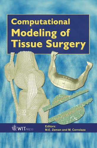 Computational Modelling of Tissue Surgery (Advances in Bioengineering)