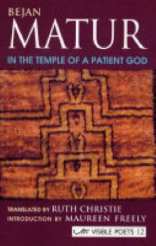 In the Temple of a Patient God (Visible Poets)