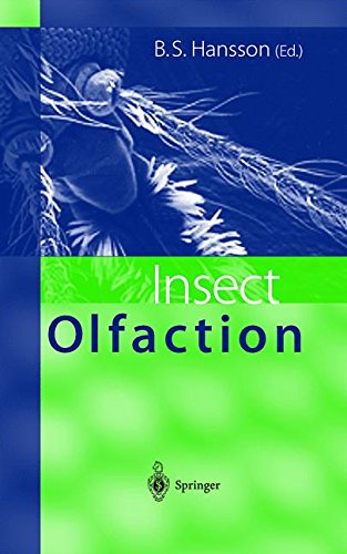 Insect Olfaction