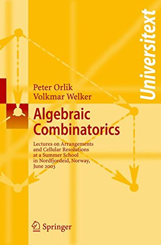 Algebraic Combinatorics: Lectures at a Summer School in Nordfjordeid, Norway, June 2003 (Universitext)