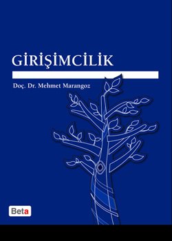 Girişimcilik