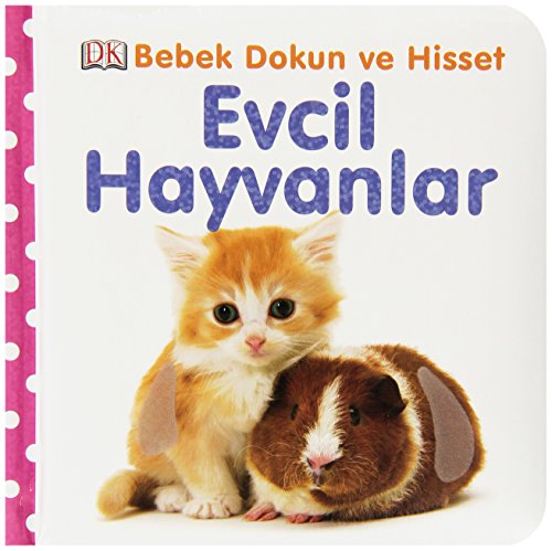 Evcil Hayvanlar