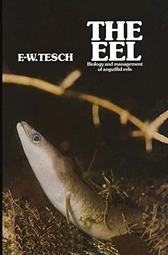The Eel: Biology and Management of Anguillid Eels