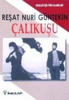 Çalıkuşu - Gençler İçin Türk Klasikleri