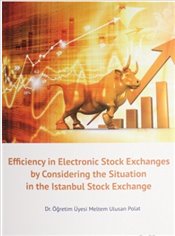 Efficiency in Electronic Stock Exchanges by Considering the Situation in the Istanbul Stock Exchange